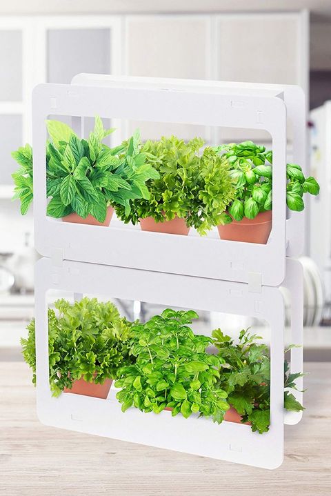 15 Indoor Herb Garden Ideas 2020 - Kitchen Herb Planters We Lo