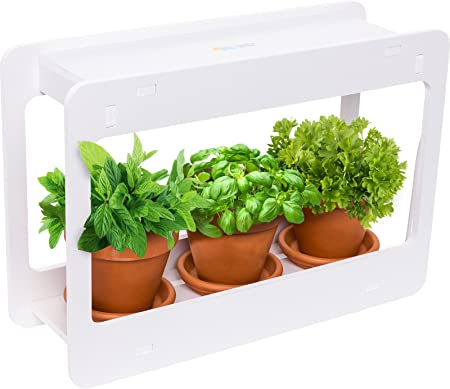 Amazon.com : Mindful Design LED Indoor Herb Garden - at Home Mini .