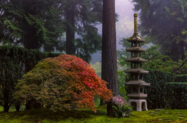 About Portland Japanese Garden – Portland Japanese Gard
