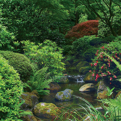 Elements of a Japanese Garden - FineGardeni