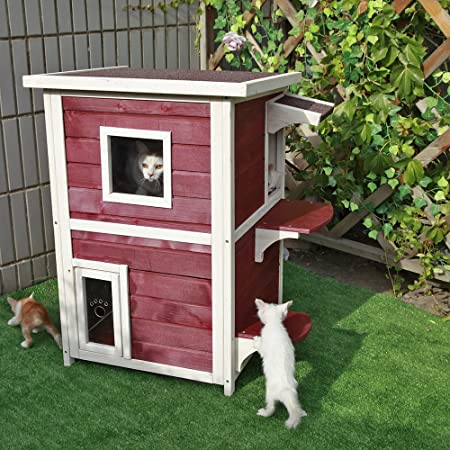 Amazon.com : Petsfit 2-Story Weatherproof Outdoor Kitty Cat House .
