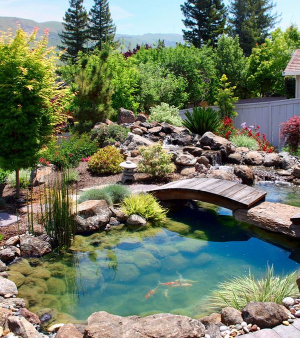 Natural Inspiration: Koi Pond Design Ideas For A Rich And Tranquil .