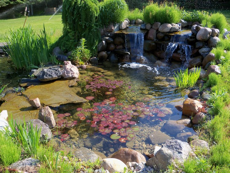 Large Pond Design — Waterpaw - Pond Contract