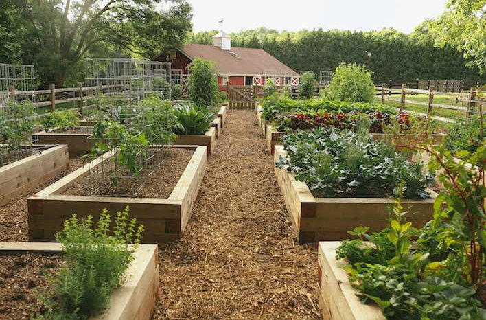 joe gardener® | Organic Gardening Like a P