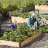 Guide to Raised Garden Beds: Plans, Timing, Tending | Gardener's .