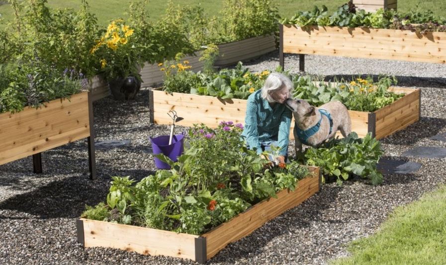Guide to Raised Garden Beds: Plans, Timing, Tending | Gardener's .