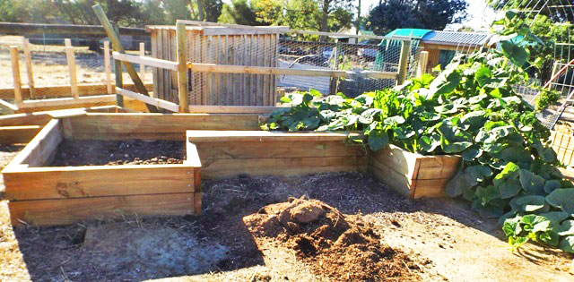 Dynamic Raised Garden Bed Plans | Ana Whi