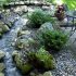 Rock Garden Ideas to Beautify Your Backya