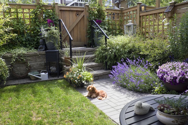 4 Landscaping Ideas for a Small Backyard - ZING Blog by Quicken .