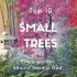 10 best trees for small gardens: Beautiful small trees | Small .