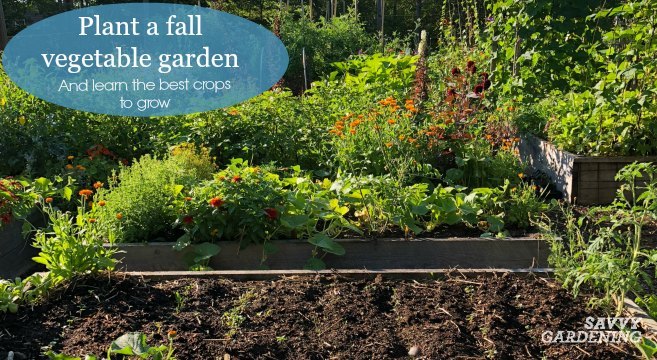 Plant a Fall Vegetable Garden with These Hardy Cro